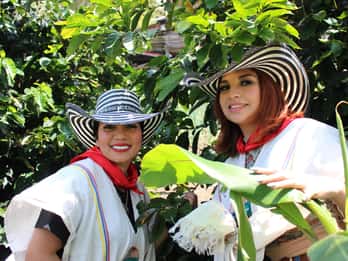 Medellín coffee tour with hotel transfers and lunch