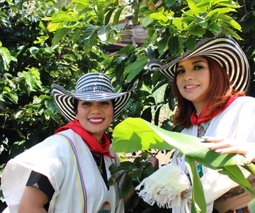 Medellin: Coffee Tour with Hotel Transfers and Meals