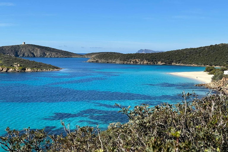 From Cagliari: Chia and Tuerredda Full-Day Beach Tour Shared Tour