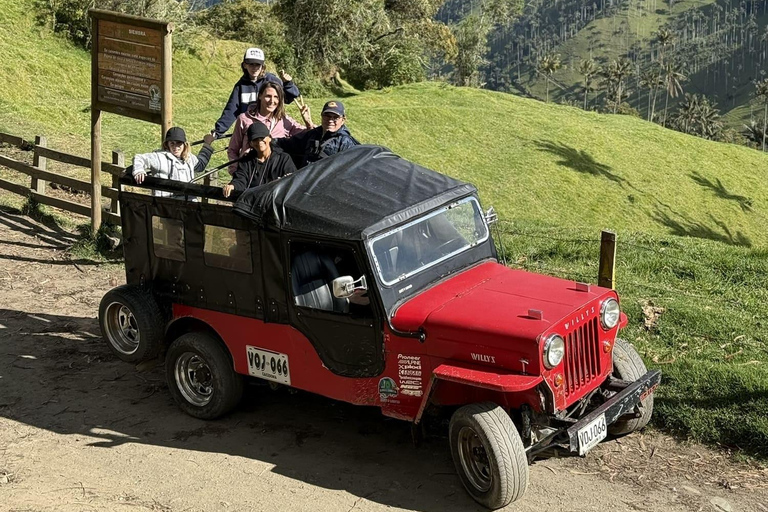 La Carbonera Adventure: Hiking & Horseback Riding in the Andean Palm Forest Salento: Tour to La Carbonera and the wax palm forest