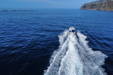 Calheta: Private Catamaran Tour - With Open Bar & Snacks Sunset Tour with Snorkeling & Paddleboarding/ Max 18 people