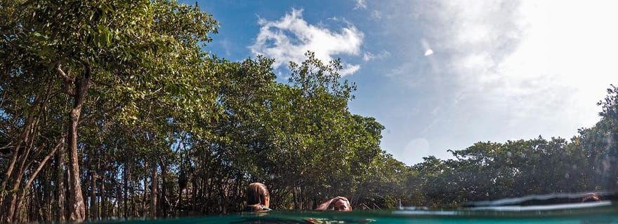 Holbox : Yalahau, île de la Passion et tour en bateau de Punta Mosquito