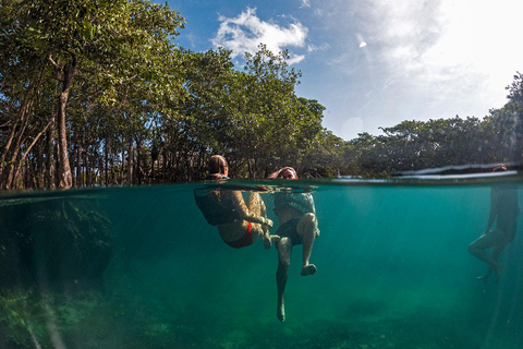 Holbox: Yalahau, Passionsinsel und Punta Mosquito BootstourGruppenreise