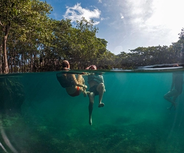 Holbox: Yalahau, Passion Island and Punta Mosquito Boat Tour