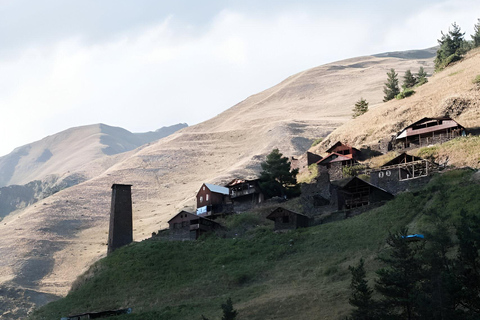 Tbilisi: Pankisi Gorge Horse Riding Tour with Dinner