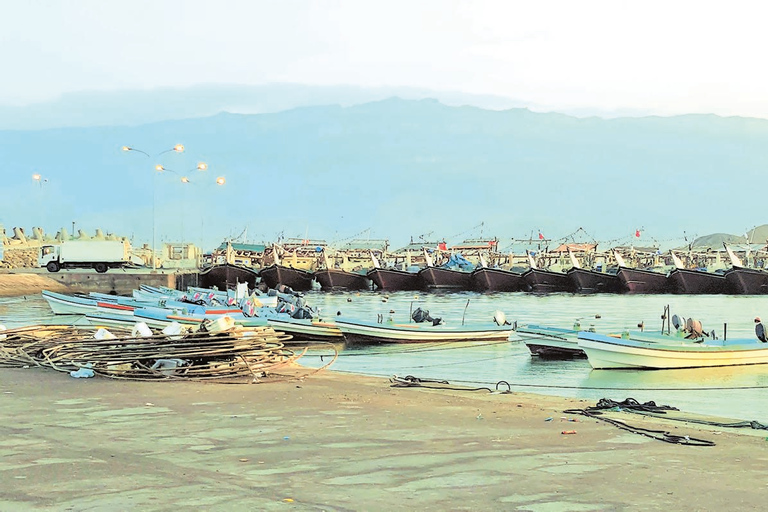 Dhofar: Salalah City and East Salalah Private Tour