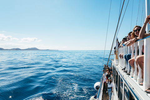 Los Cristianos : croisière sans chasse aux baleines et aux dauphins