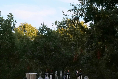 Albanian Wine &amp; Raki Tasting Experience at Hani i Qerosit