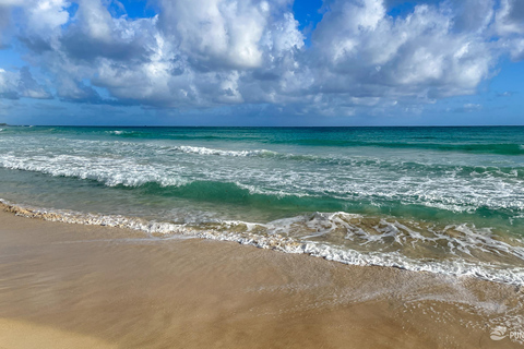 Punta Cana: Higüey Safari Tour met paardrijden