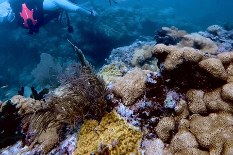 Key West: Scuba Diving Refresher Course