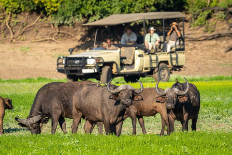 Livingstone: City Tour, Game Drive, and Victoria Falls Tour