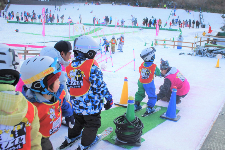 Osaka: Rokko Snow Park – wycieczka 1-dniowa z opcjonalną lekcją jazdy na nartachD (SANKI)