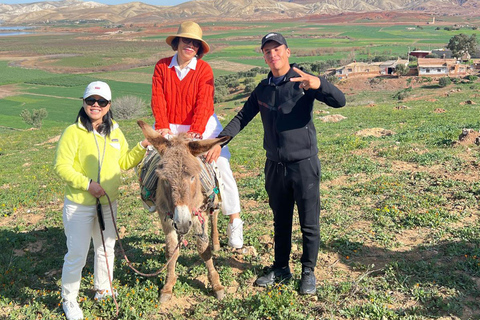 من مراكش: جولة لمدة 4 أيام إلى المدن الإمبراطورية ووليلي