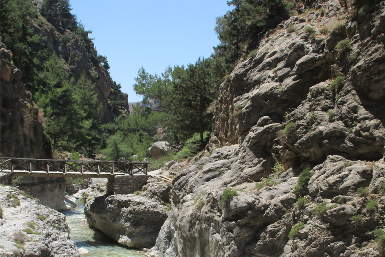 Vanuit Rethymno: Samaria Gorge-dagtocht met pick-upVanuit Gerani, Petres, Dramia, Kavros en Georgioupolis