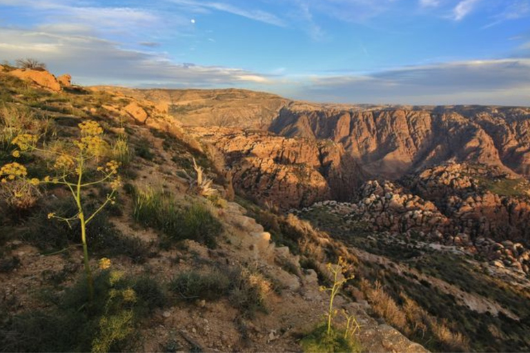 Amman: Dana, Petra, Wadi Rum & Dead Sea 4-Day Tour