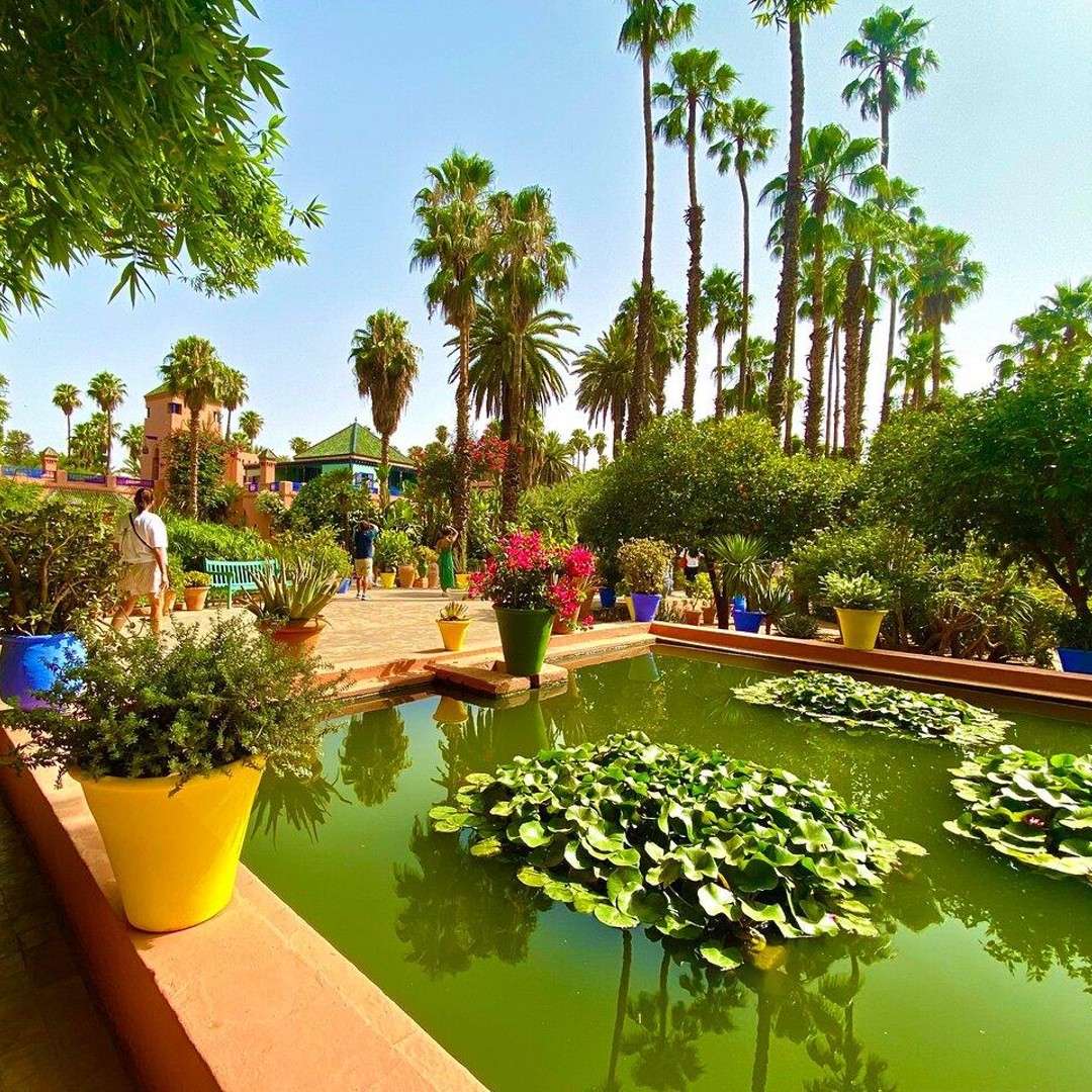 Marrakech : visite du jardin Anima et de la médina avec promenade en calèche - medina