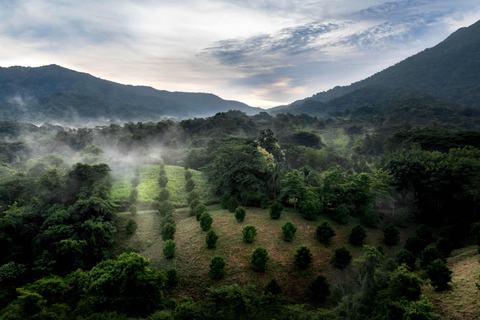 Z Huatulco: Egzotyczny ogród w ekoturystycznym ranczu i wizyta w punkcie widokowym.Z Huatulco: Egzotyczny ogród w ekoturystycznym ranczu i wizyta w punkcie widokowym
