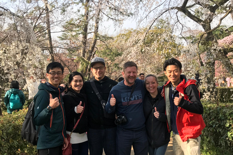 Pedala le gemme nascoste di Kyoto e passeggia per Gion