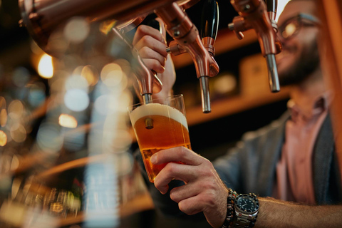 Norwegian Beer Guided Tasting Tour of Oslo Bars & Pubs 4-hour: Private Tasting of 8 Beers and Food