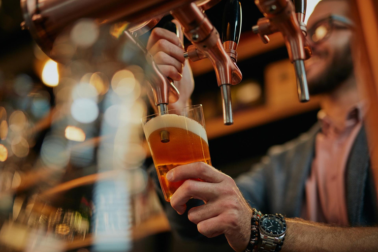 Norwegian Beer Guided Tasting Tour of Oslo Bars & Pubs 4-hour: Private Tasting of 8 Beers and Food