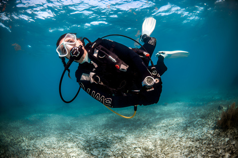 Mellieha: Sessione introduttiva di immersione in mare apertoCome preferisci (ci vediamo alla nostra base alle 14:00)