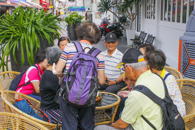 Au départ de Kuala Lumpur : Visite privée de MalaccaAu départ de Kuala Lumpar : Visite privée de Malacca