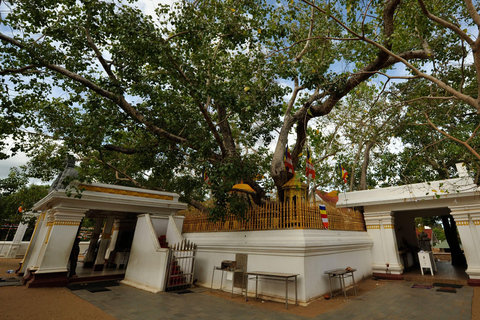 Anuradhapura Antike Stadt Geführte Tagestour ab Kandy