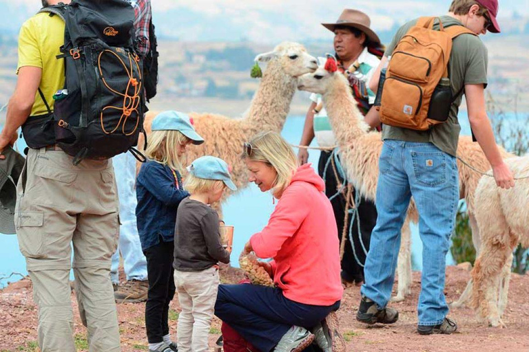 Private Tour from Cusco | Llama Tour + Clay Healing