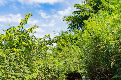 Santa Marta: Tayrona Park Cabo San Juan Day Hike