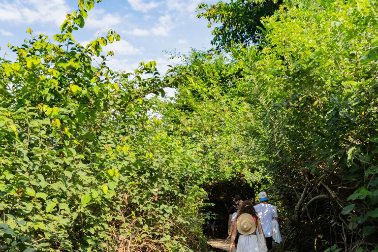 Santa Marta: Tayrona Park Cabo San Juan Day Hike