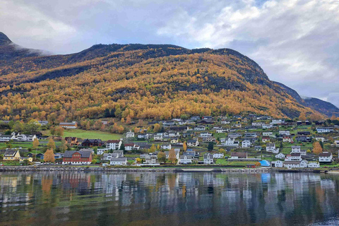 Bergen: Stegastein, Viking Village, Flåm & Nærøyfjord Cruise