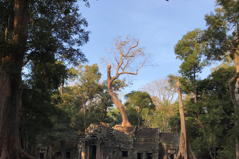 Destaques de Angkor Wat, Ta Prohm e Angkor Thom