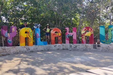 Riviera Maya: Holbox, Isla Pasión, and Yalahau Cenote Tour