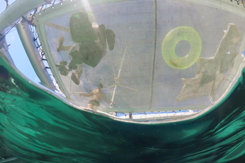 Ibiza: Formentera Sailing Catamaran with BBQ & Snorkeling