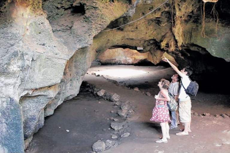 Traditional dhow ride to Kisite Marine Park & Wasini & dolphin watching