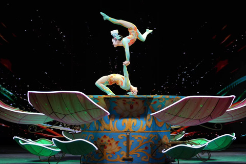 Beijing: Forbidden City & Chaoyang Acrobatic Show Tickets Forbidden City PM Ticket + Audio Guide