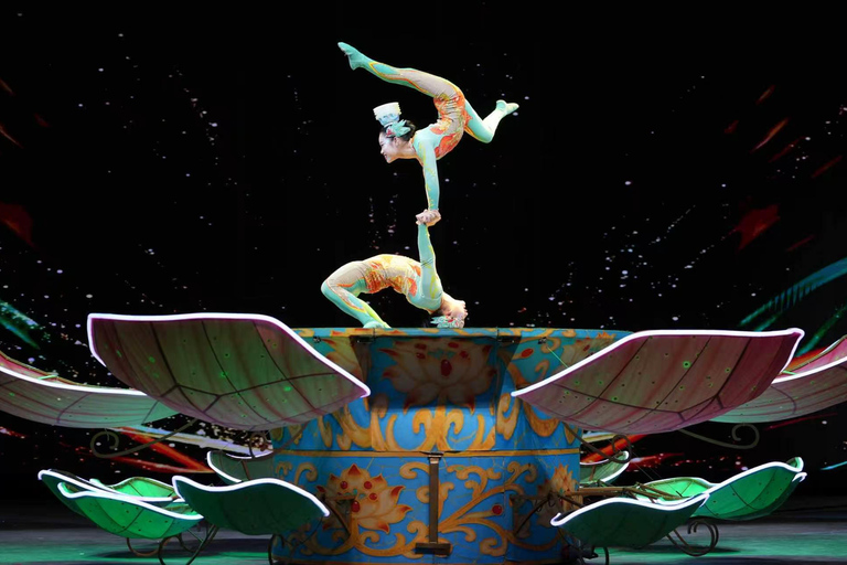 Beijing: Forbidden City & Chaoyang Acrobatic Show Tickets Forbidden City PM Ticket + Audio Guide