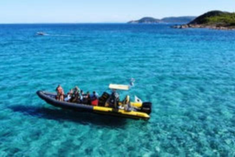 Da Porto-Vecchio: Crociera turistica dell&#039;Arcipelago di LavezziDalla spiaggia di Santa Giulia