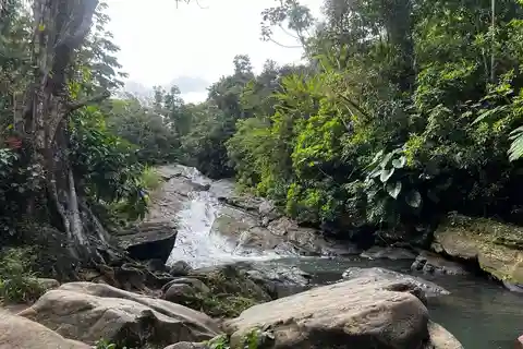 El Yunque Rainforest Water Slide & Luquillo Beach Tour