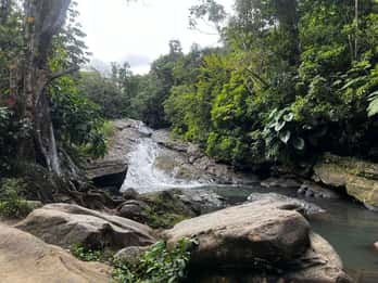 El Yunque Rainforest Water Slide & Luquillo Beach Tour