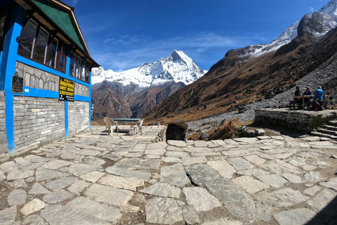 Pokhara: 7-Day Annapurna Base Camp & Jhinu Hot Springs Trek