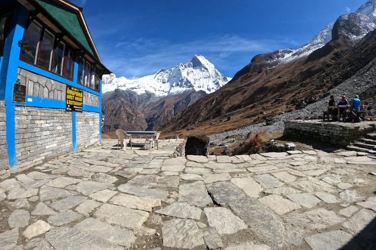 Pokhara: 7-Day Annapurna Base Camp & Jhinu Hot Springs Trek
