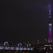 Tokyo Private Tour with English speaking driver