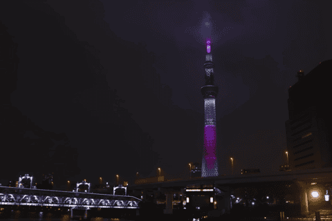 Tokyo Private Tour with English speaking driver - Image 3