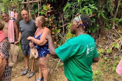 Saint Lucia: Soufriere Volcano Experience