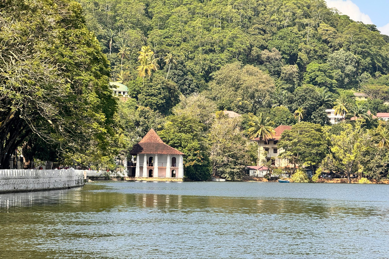 Tour gastronomico in Sri Lanka