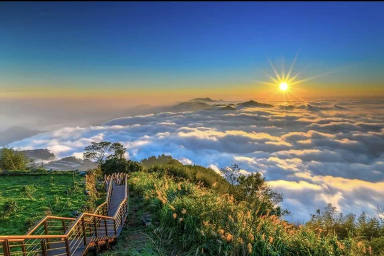 Two-day tour of Alishan Cloud Forest and Tainan Old Town Depart from Kaohsiung or Tainan.{eight-seater car}
