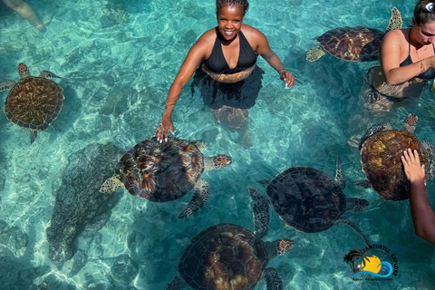 Zanzibar: Zwemmen met schildpadden in het Salaam Grot AquariumHoteltransfer overal in Zanzibar