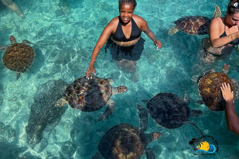 Zanzibar: Zwemmen met schildpadden in het Salaam Grot AquariumHoteltransfer overal in Zanzibar