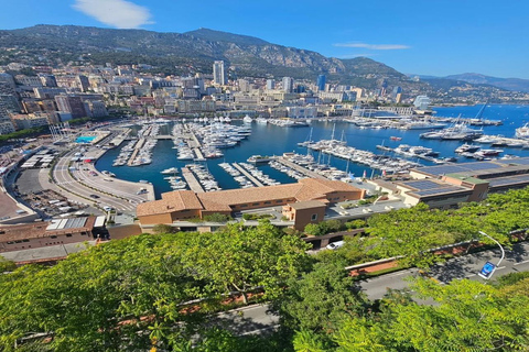 Monaco, Monte-Carlo & Eze Village Private Half-Day Tour LICENSED GUIDE + MERCEDES V